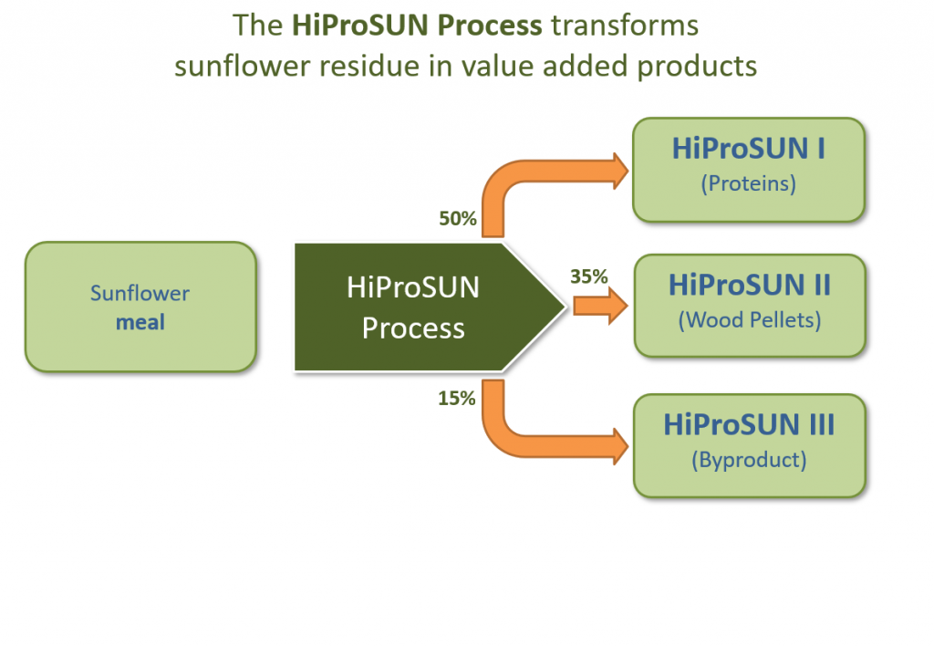 Das HiProSUN-Verfahren verwandelt Sonnenblumenreste in Produkte mit Mehrwert.